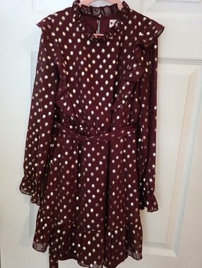 Poppies and Roses Burgundy Dress with Gold Metallic Dots